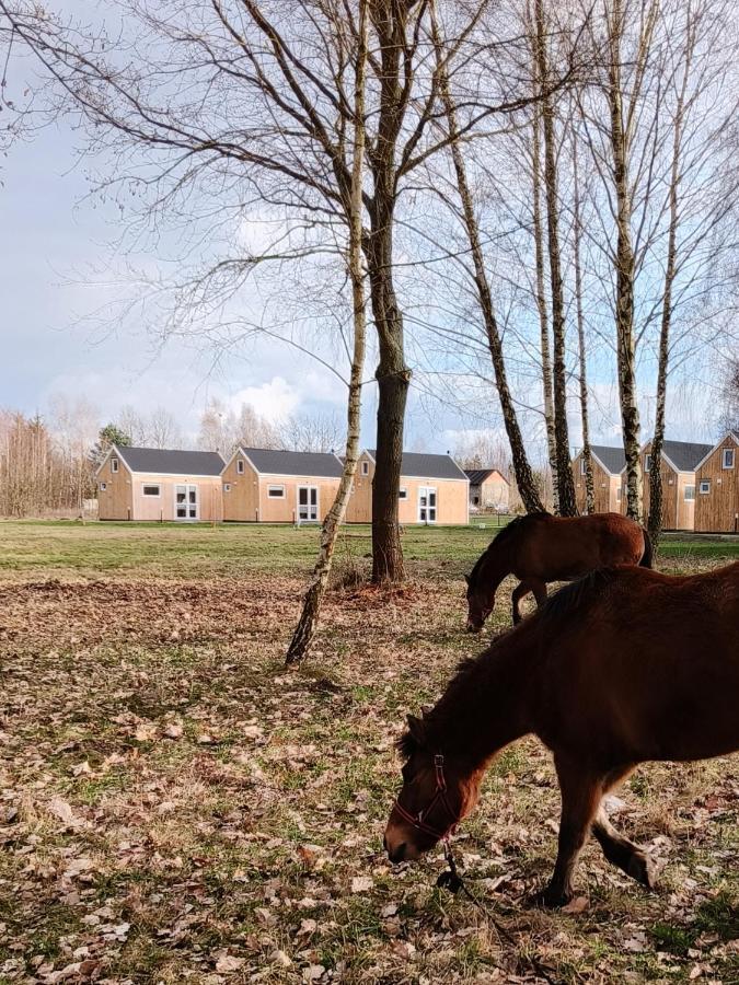 Zagajnik Country Camp Obok Suntago Villa Grabce-Towarzystwo Kültér fotó